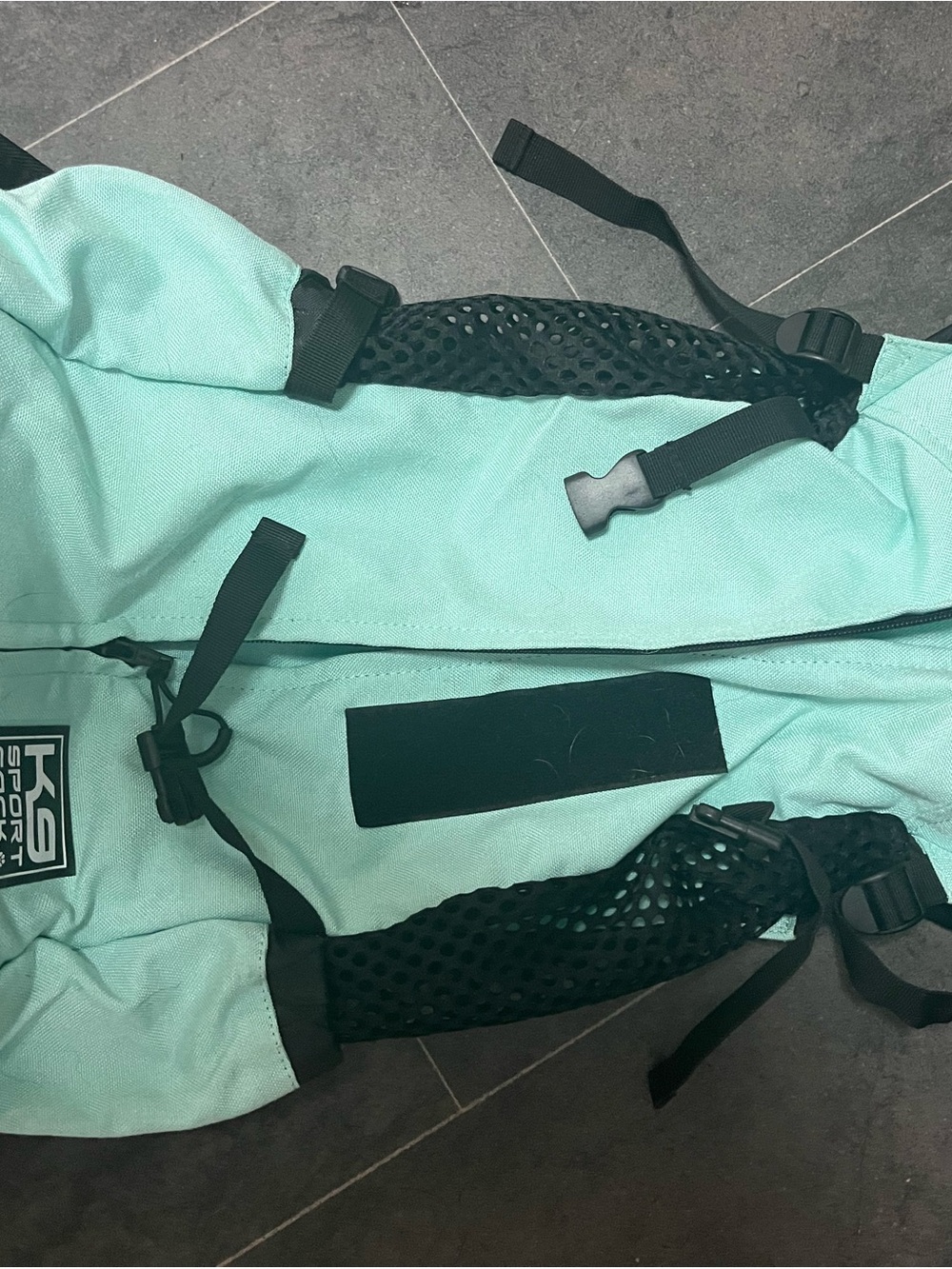 K9 Sport Mint Green Dog Travel Carrier with Black Straps